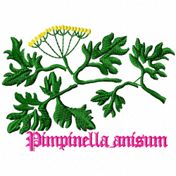 Plants Embroidery Design 5